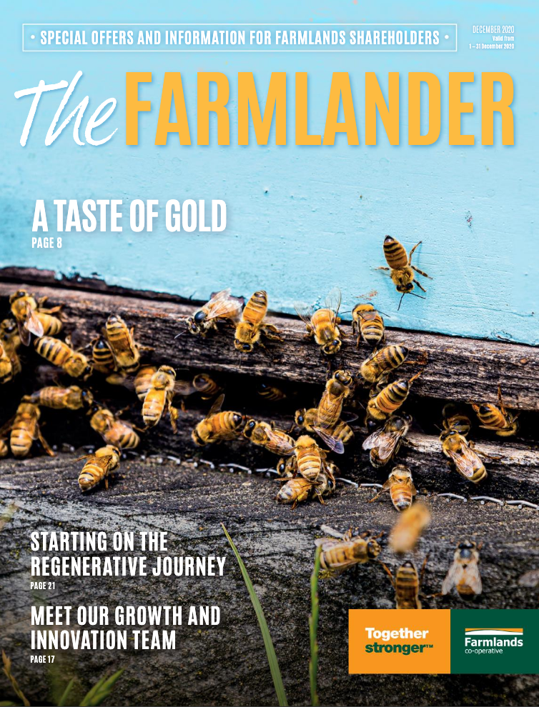 A Taste Of Gold / The Farmlander December 2020